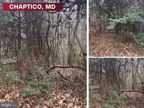Mill Point Road, Chaptico, MD 20621