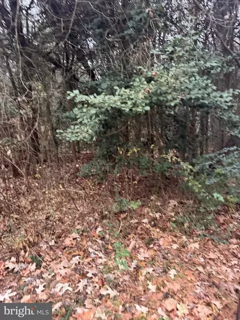 Mill Point Road, Chaptico, MD 20621 photo 3