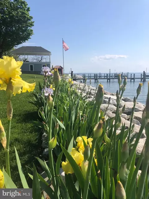 Other - 20495 Waterloo Ln, Coltons Point, MD 20626 photo 14 of 18