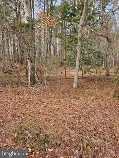 Abell Road, Abell, MD 20606