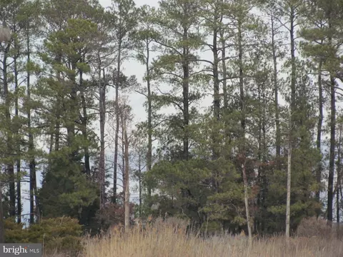 Piney Point Road, Piney Point, MD 20674