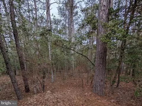 38644 Van Ward Rd, Abell, MD 20606