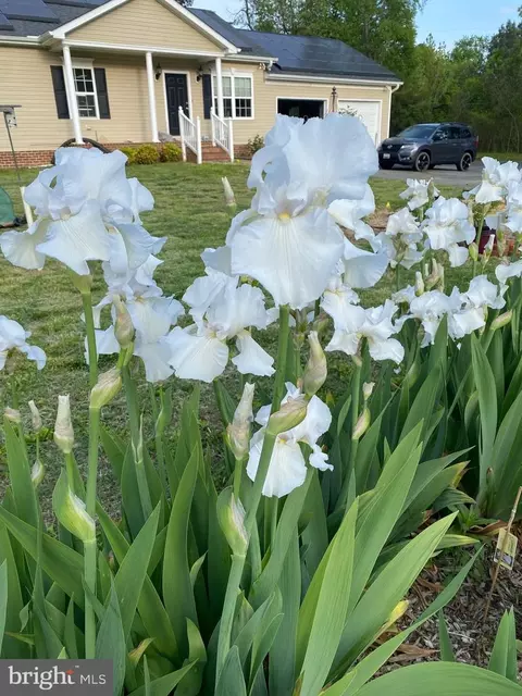 Other - 16665 Three Notch Rd, Ridge, MD 20680 photo 15 of 15