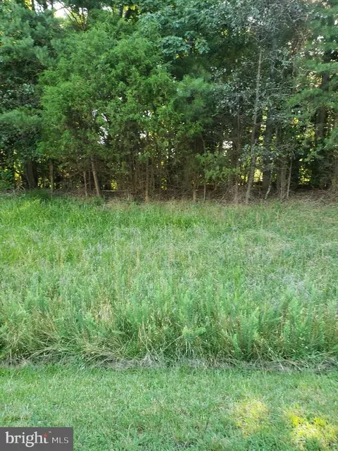 lot8 Lake, Lexington Park, MD 20653