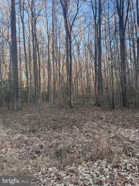 Upland Drive, Bushwood, MD 20618