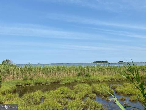 4 Hammock Point Rd, Crisfield, MD 21817 photo 6