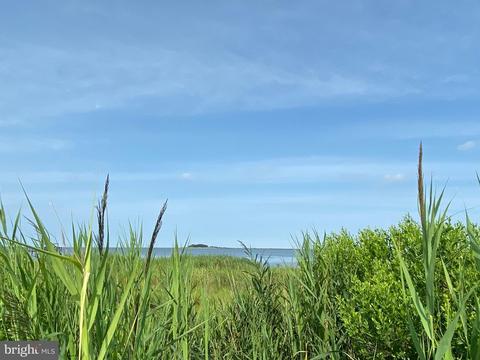 4 Hammock Point Rd, Crisfield, MD 21817 photo 5