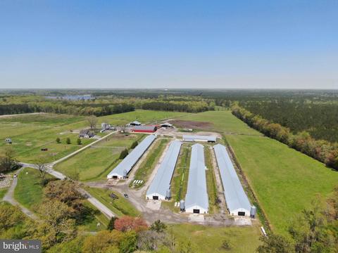 31350 Curtis Chapel Rd, Westover, MD 21871 photo 1