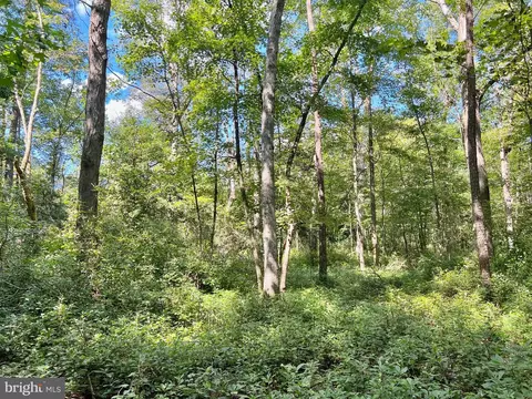 Lot 3 Wildwood Drive, Princess Anne, MD 21853