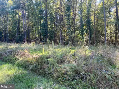 Petes Hill Road, Princess Anne, MD 21853