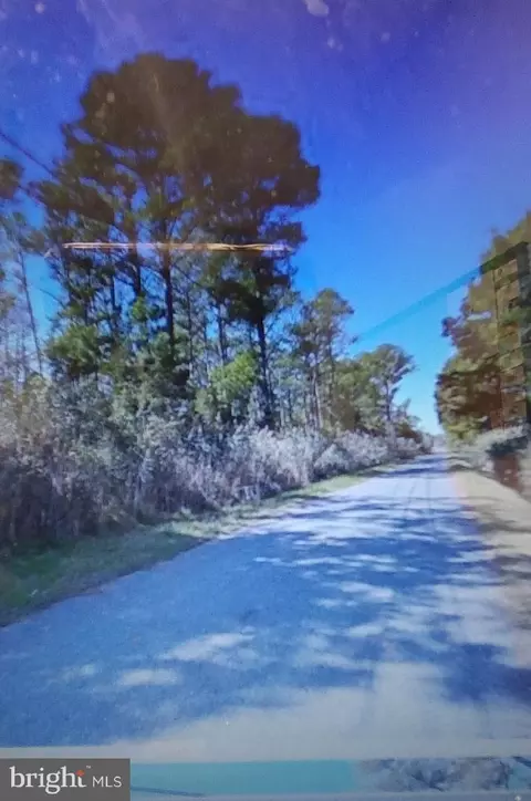 Parcel 10 Calvary Road, Crisfield, MD 21817