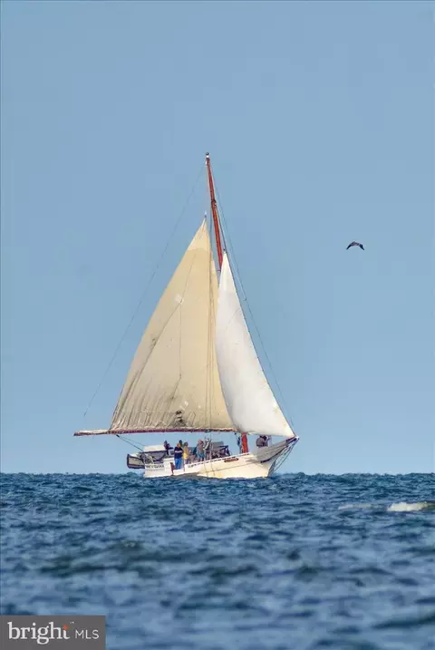 View/Area - 8074 Riverview Rd, Westover, MD 21871 photo 17 of 46