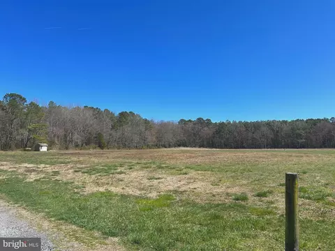 Backbone Road, Princess Anne, MD 21853