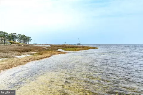 View/Area - 8078 Riverview Rd, Westover, MD 21871 photo 31 of 49