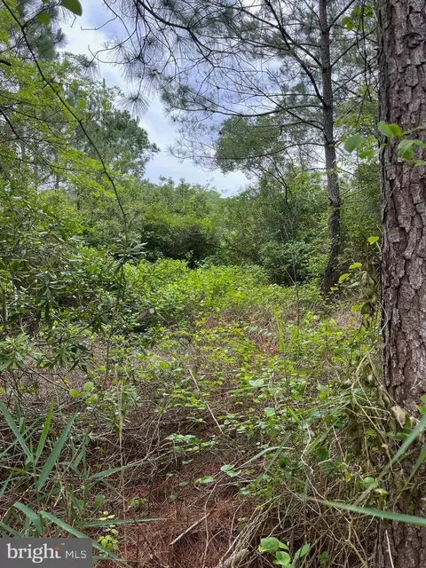 0 Boone Rd #PARCEL 1290, Crisfield, MD 21817