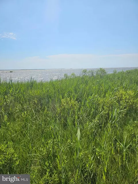 2779 Ape Hole Rd, Crisfield, MD 21817