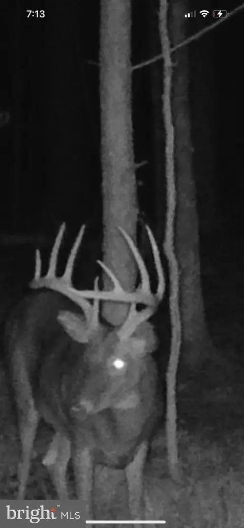 5469 Cornstack Rd, Marion Station, MD 21838 photo 5