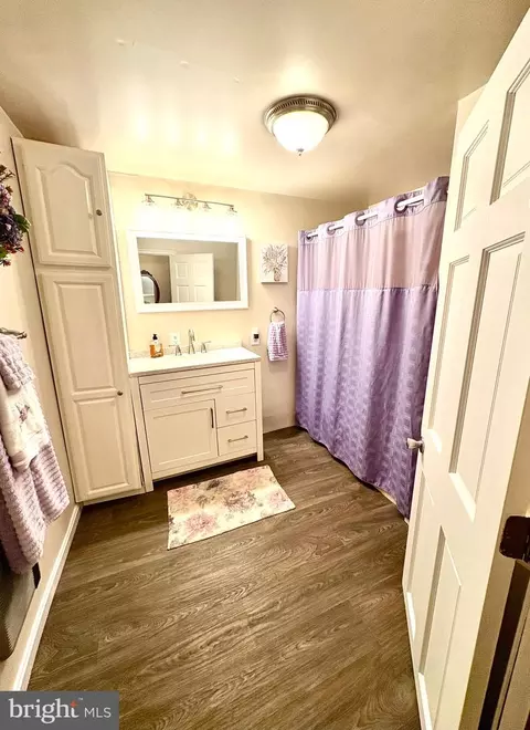 Bath - 3411 Marsh Rd, Ewell, MD 21824 photo 1 of 1