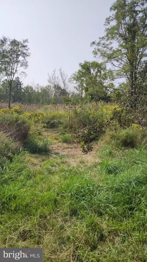 0 Riley Roberts Rd, Deal Island, MD 21821