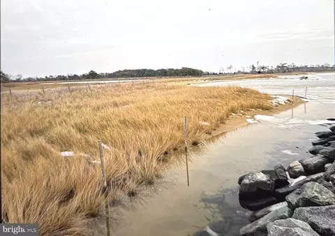 0 Crowell Rd, Deal Island, MD 21821