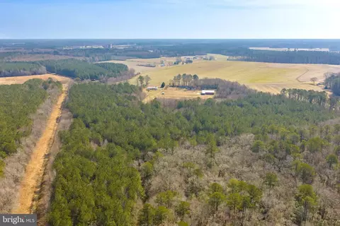 14470 14450 Backbone Rd, Eden, MD 21822 photo 49