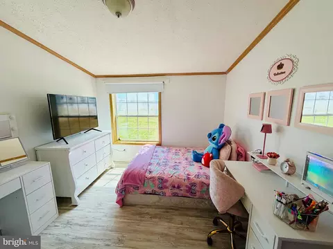 14192 Backbone Rd, Eden, MD 21822 photo 13