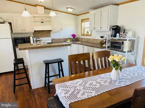 14192 Backbone Rd, Eden, MD 21822 photo 26