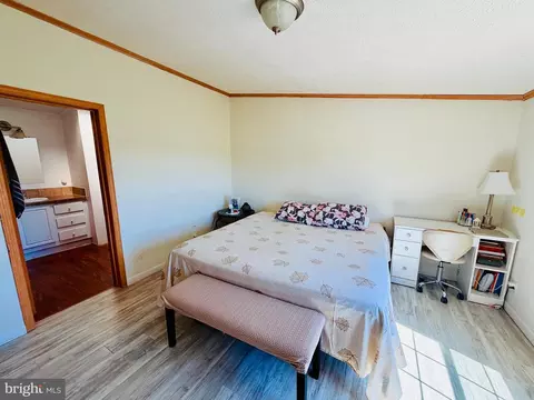 14192 Backbone Rd, Eden, MD 21822 photo 39