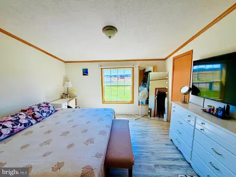 14192 Backbone Rd, Eden, MD 21822 photo 36