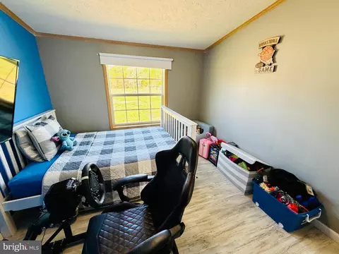 14192 Backbone Rd, Eden, MD 21822 photo 19