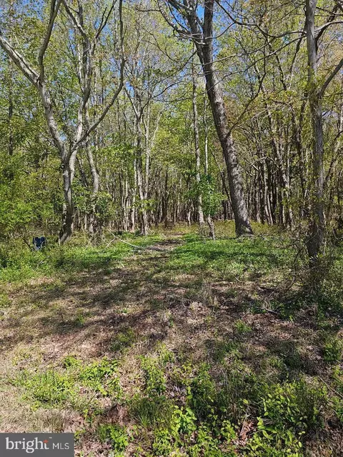 5071 Wayman Rd, Marion Station, MD 21838