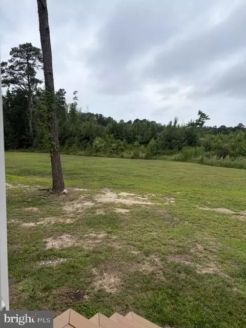 6028 Cornstack Rd, Marion Station, MD 21838 photo 5