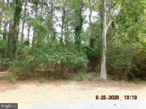 100 Roland Parks Rd, Chance, MD 21821