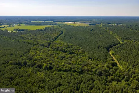 0 Backbone Rd, Eden, MD 21822 photo 7
