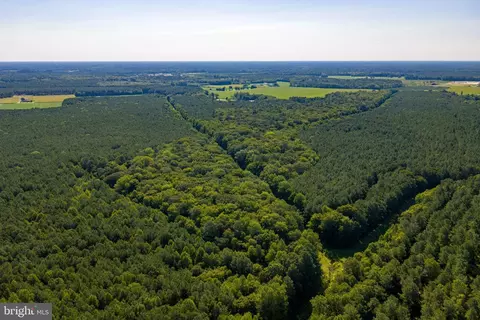 0 Backbone Rd, Eden, MD 21822 photo 6