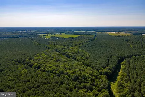 0 Backbone Rd, Eden, MD 21822 photo 4