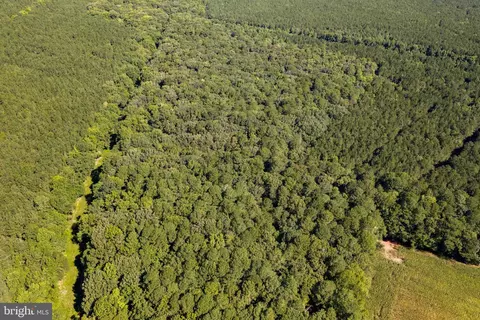 0 Backbone Rd, Eden, MD 21822 photo 10