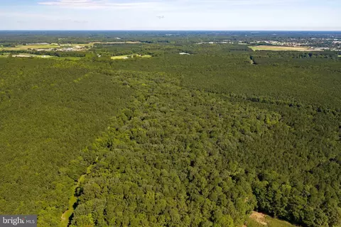 0 Backbone Rd, Eden, MD 21822 photo 9