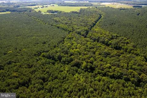 0 Backbone Rd, Eden, MD 21822 photo 8