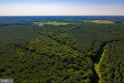 0 Backbone Rd, Eden, MD 21822 photo 5