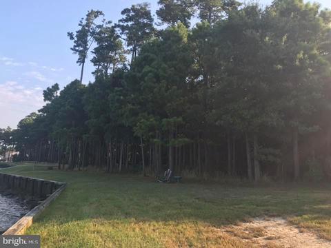 4962 Black Walnut Point Rd, Tilghman, MD 21671 photo 2