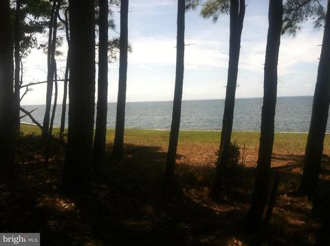 4962 Black Walnut Point Rd, Tilghman, MD 21671 photo 4
