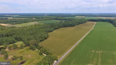 Beaver Dam Road, Trappe, MD 21673