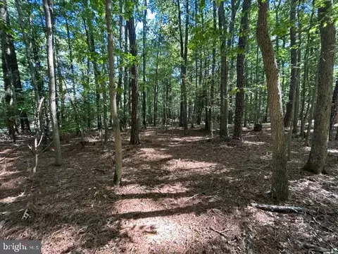 Quaker Neck Road, Bozman, MD 21612