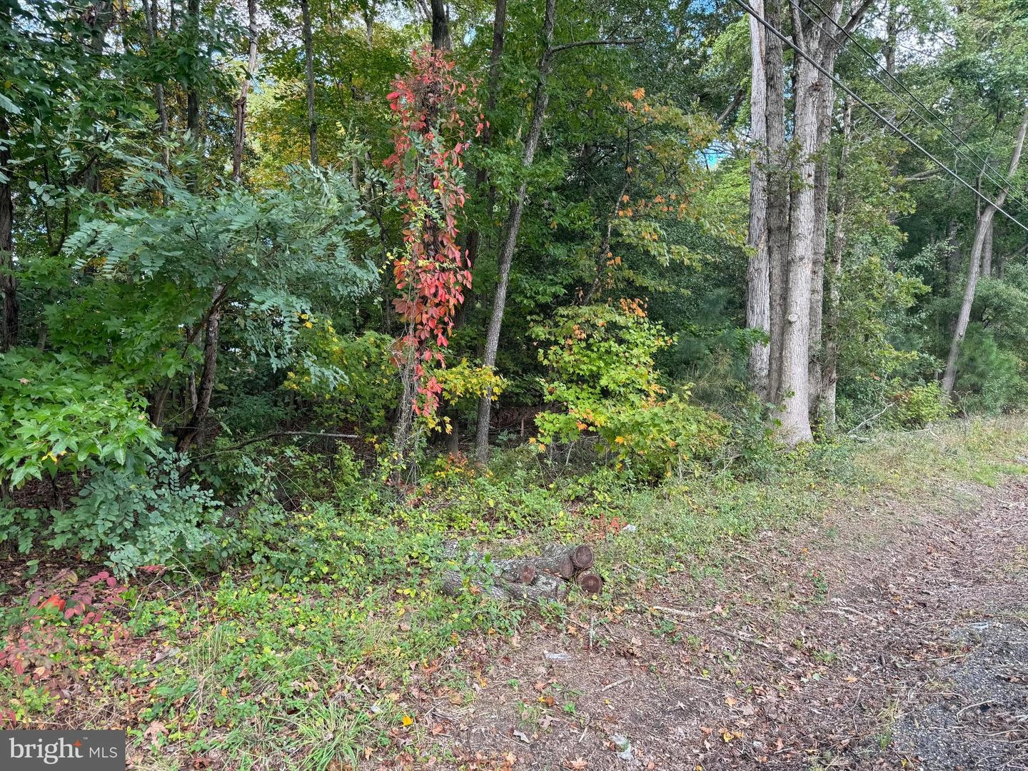 Ocean Gateway, Trappe, MD 21673 photo 1