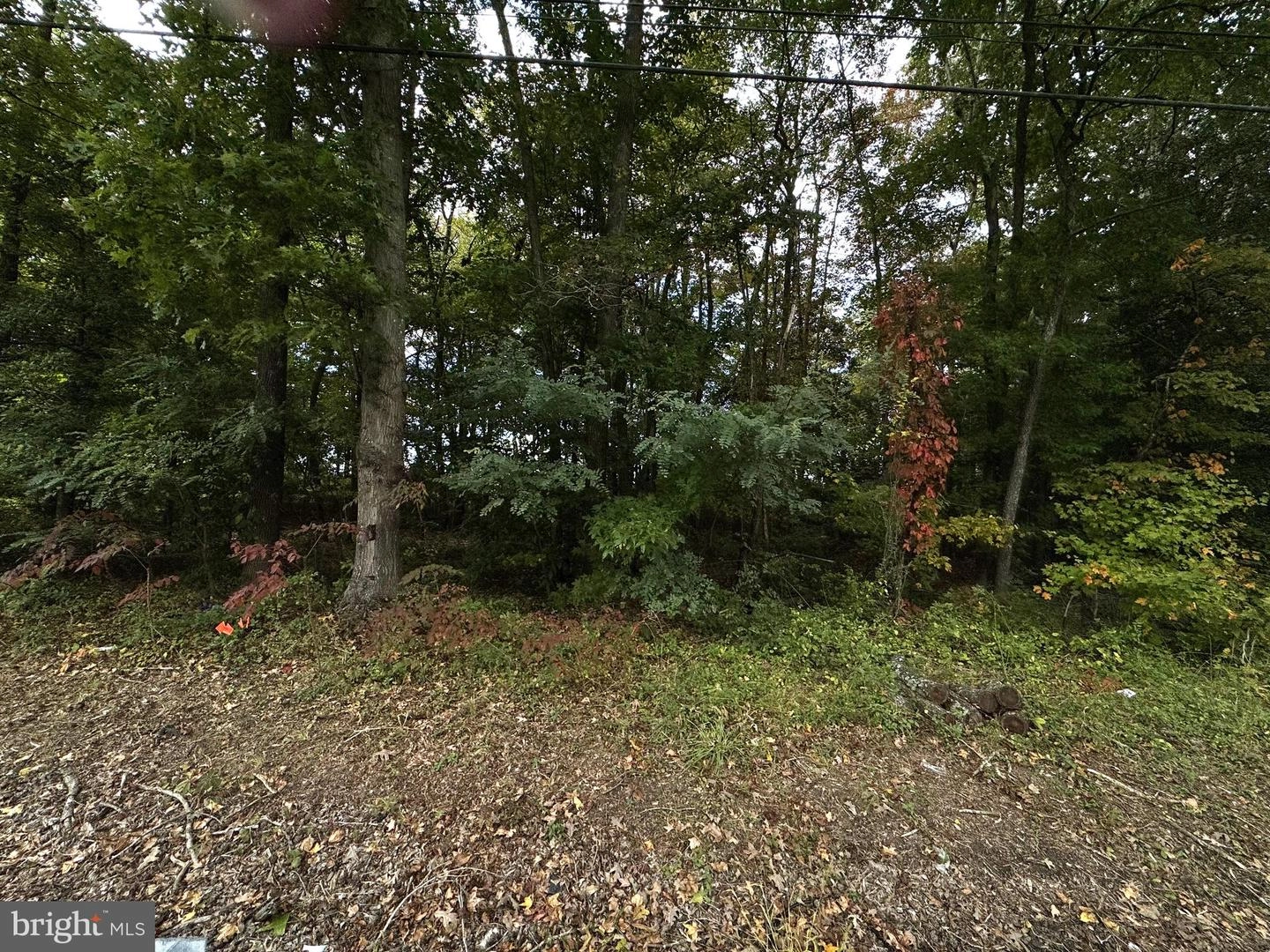 Ocean Gateway, Trappe, MD 21673 photo 2