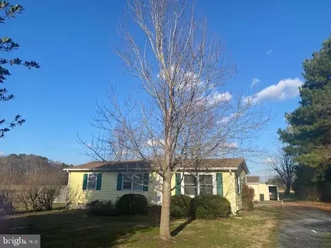 4047 Main St, Trappe, MD 21673 photo 3