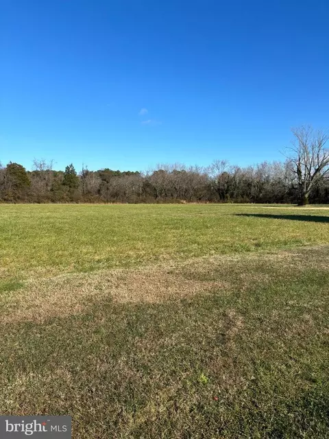 4876 Old Trappe Rd, Trappe, MD 21673 photo 8