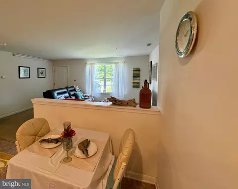 6240 Old Trappe Rd, Trappe, MD 21673 photo 32