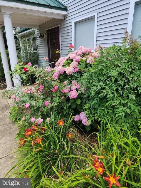 510 Brookletts Ave #603, Easton, MD 21601